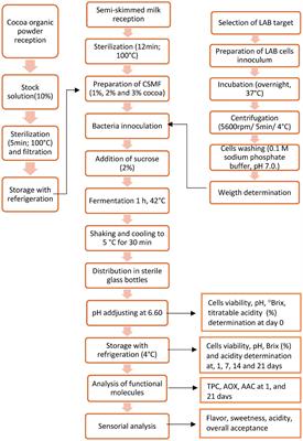 Fortification of cocoa semi-skimmed milk formulations with native lactic acid bacteria: Cell viability, physicochemical and functional properties for developing novel foods